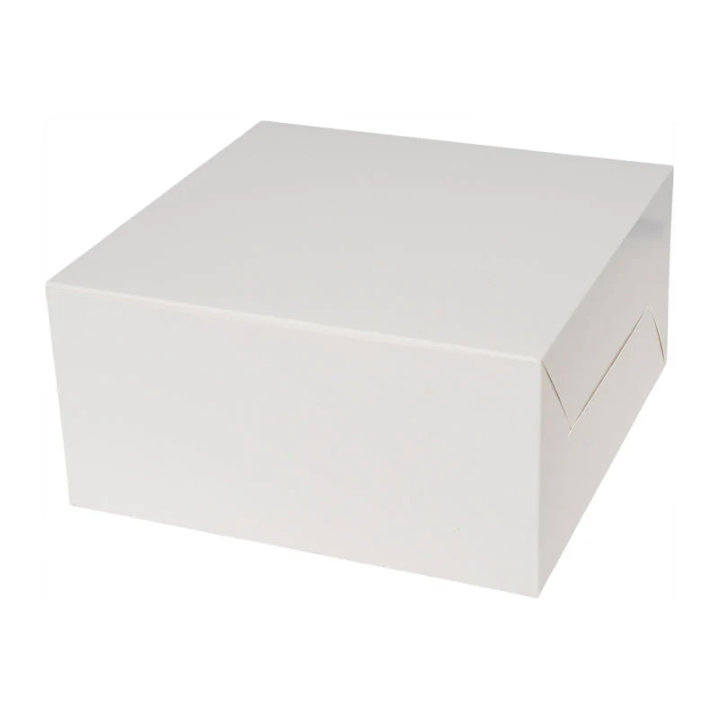 cake box plain white 10x10x5" 5pcs (#50684)