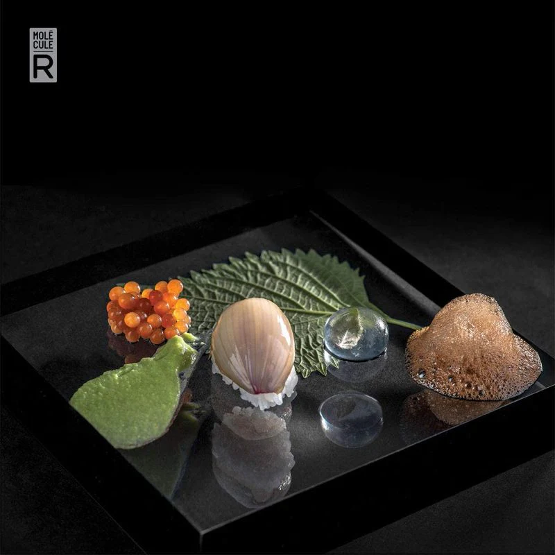 r-evolution food styling kit (#67369) - Image 4