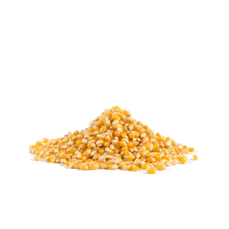popcorn yellow 30oz (#100498) - Image 10