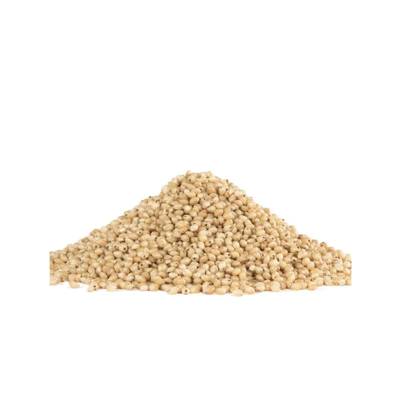 gf swt white sorghum grain 24oz (#103651) - Image 5