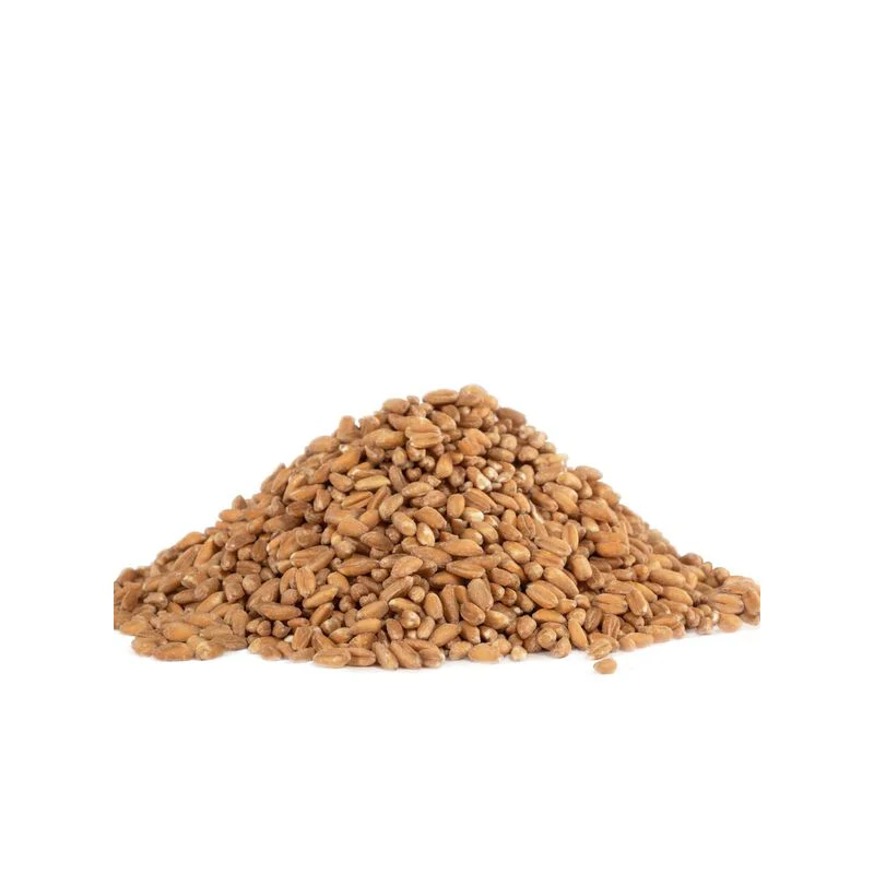 farro org/bob's red mill 24oz (#103658) - Image 4