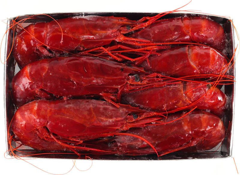 FRZ CARABINERO PRAWN S0 (5/7)/BUBA CAMARON (#105441) - Image 2