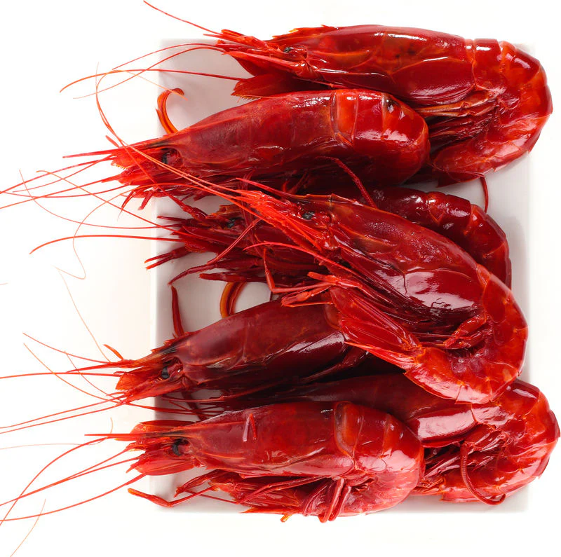 FRZ CARABINERO PRAWN S0 (5/7)/BUBA CAMARON (#105441) - Image 5