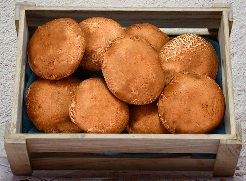 portobello mushroom 250g (#121091)