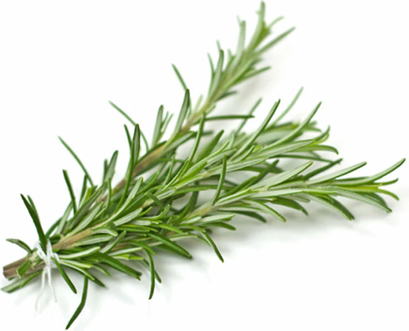 rosemary 25g (#121125)