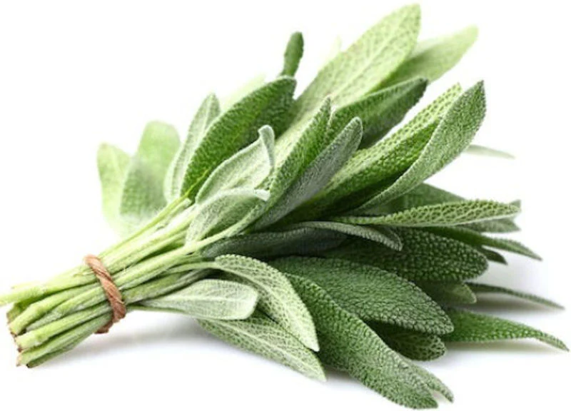 sage 25g (#121130)