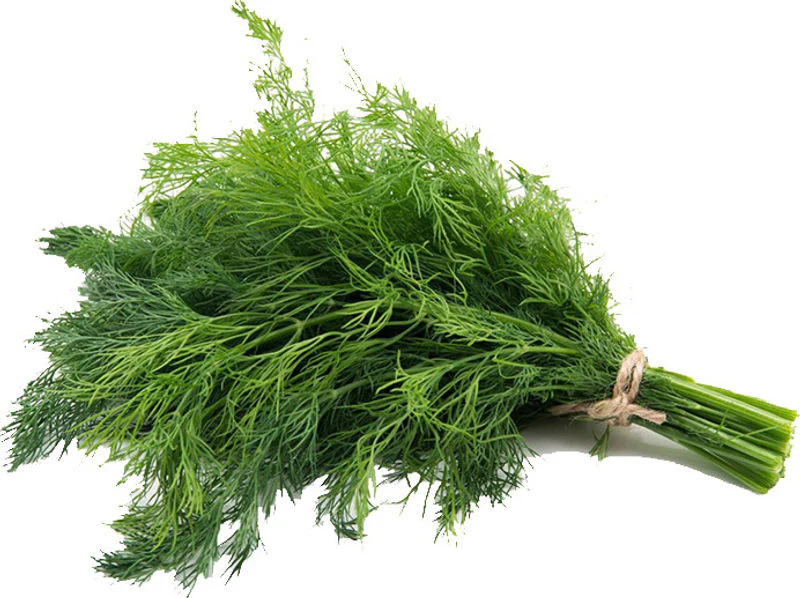 org fresh dill 1pc (#121194)