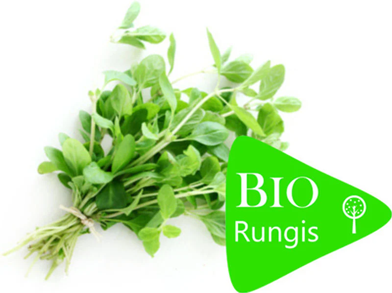 org marjoram 1pc (#121197)