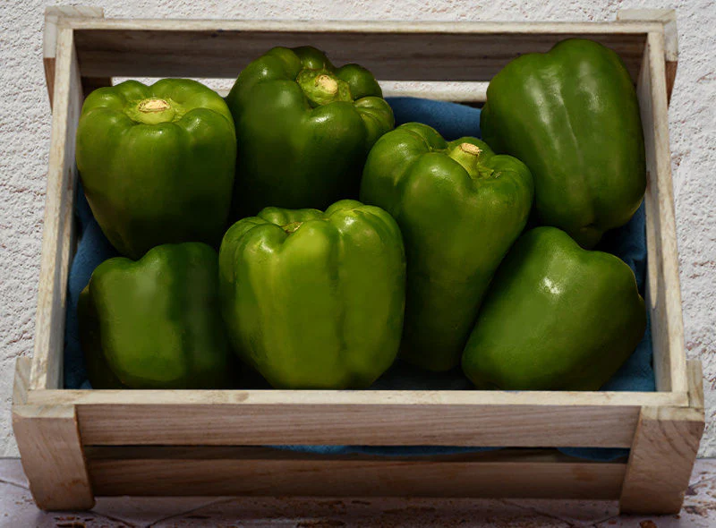 org green capsicum 0.5kg(+ -) (+/-)/b.r.  (#121230)