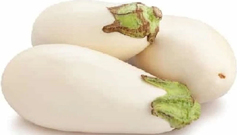 org white eggplant 0.5kg(+ -) (+/-)/b.r. (#121233)