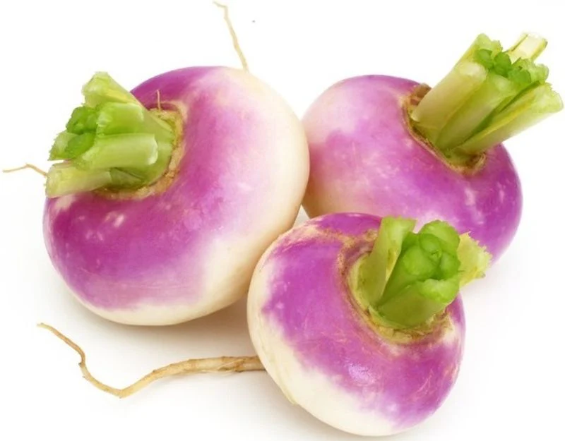 org purple turnip 0.5kg(+ -) (+/-)/b.r.  (#121234)