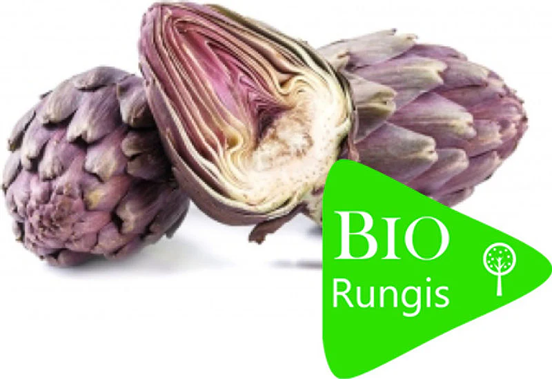 org artichoke 0.5kg(+ -) (+/-)/b.r.  (#121296)