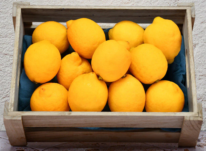 org lemon primofiore 0.5kg(+ -) (+/-)/b.r. (#121326)