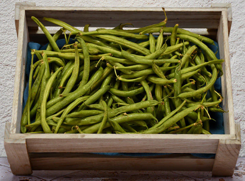 org green beans 0.25kg(+ -) (+/-)/b.r. (#121359)