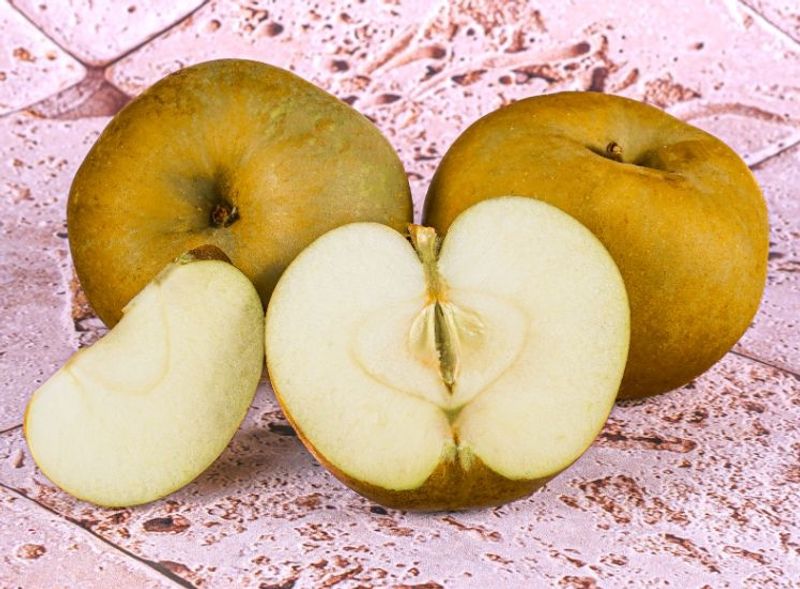 org grey canada apple 0.5kg(+ -) (+/-)/b.r.  (#121368)