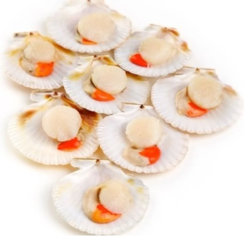 half shell scallops 1kg (#122281)
