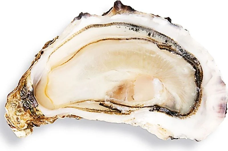 FINES DE CLAIRE OYSTERS MARENNES OLERON NO4 48PC (#000000000000122579)