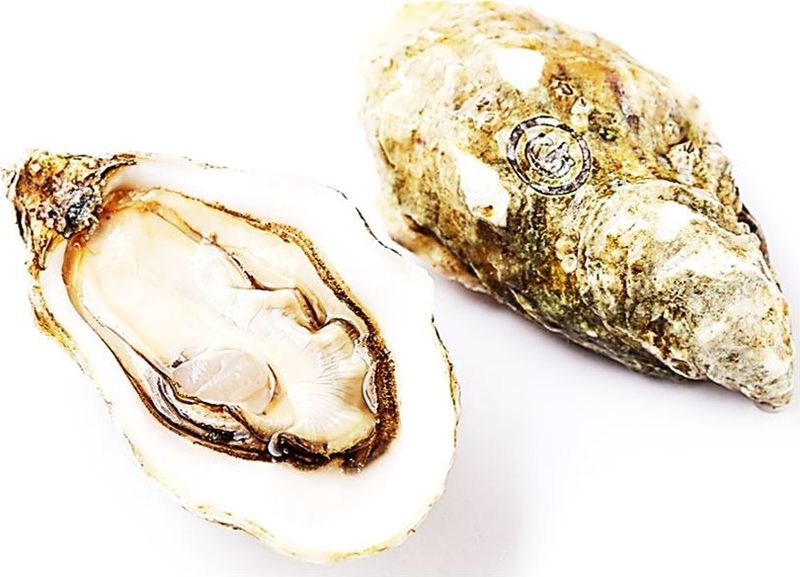 GILLARDEAU OYSTERS NO3 48PC (#000000000000122629)