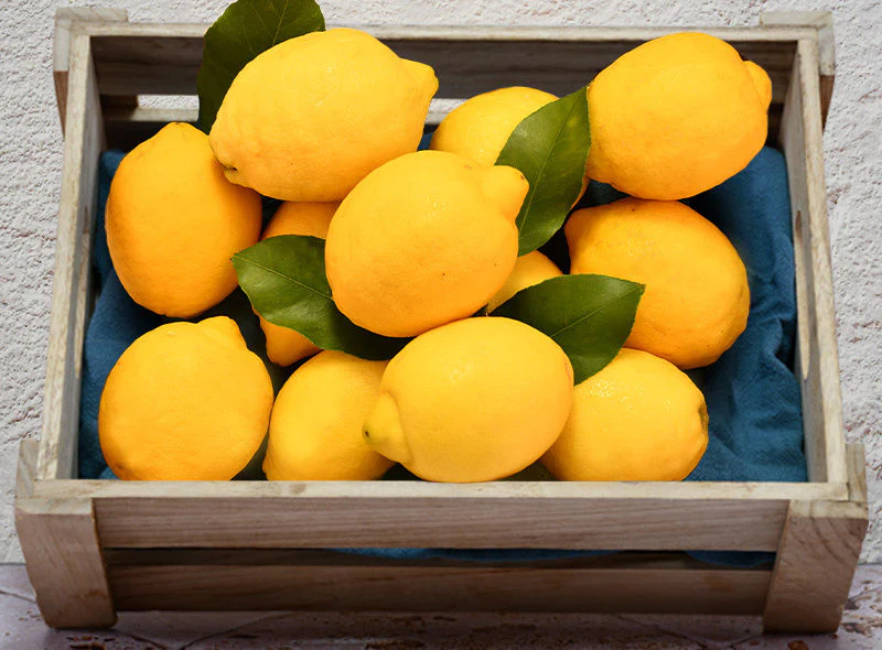 sicilian lemon with leaves 0.5kg(+ -) (+/-)/jard  (#122660)