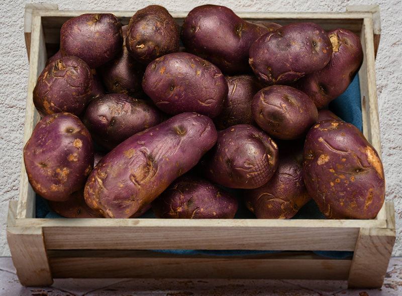 blue artois pot 0.5kg(+ -) (+/-)/jard  (#122671)