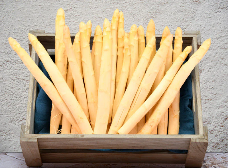 white asparagus 0.25kg(+ -) (+/-)/jard (#122680)