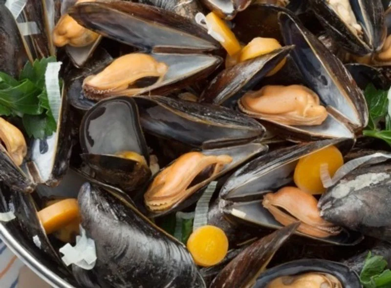 holland msc mussels 2kg(+/-)/demarne (#122702)