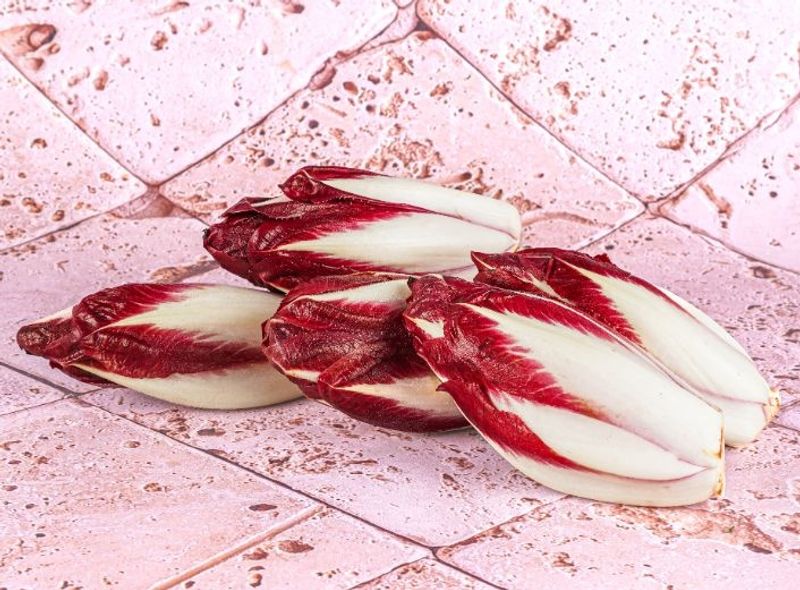 red chicory 0.5kg(+ -) (+/-)/jard  (#122706)