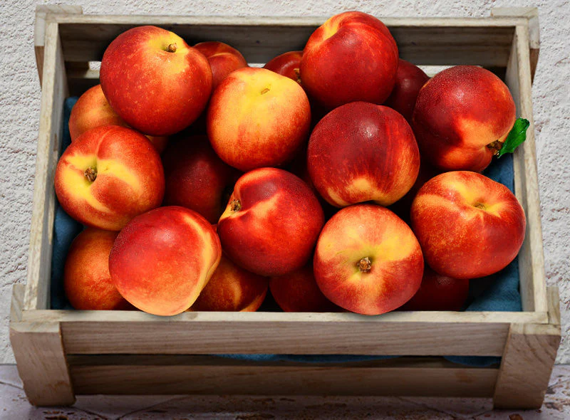 yellow nectarine 0.5kg(+ -) (+/-)/jard  (#122730)
