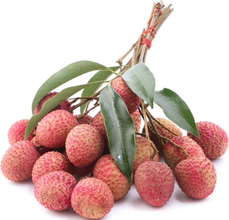 lychee 0.5kg(+ -) (+/-)/jard  (#122744)