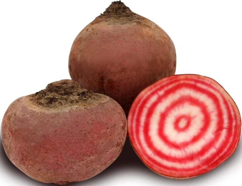 chioggia beetroot 0.5kg(+ -) (+/-)/jard  (#122772)