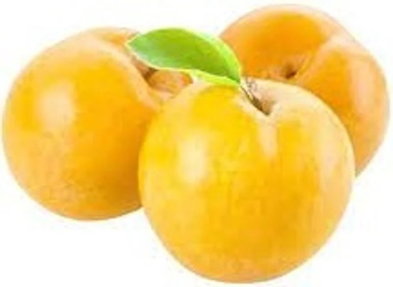yellow plum 0.5kg(+ -) (+/-)/jard (#122788)