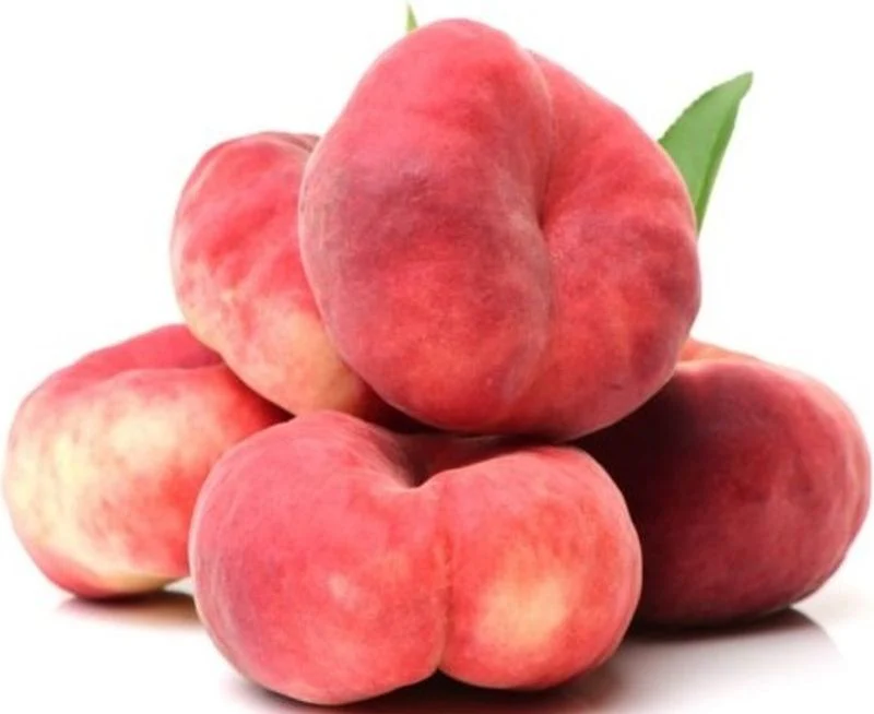 doughnut peach 0.5kg(+ -) (+/-)/jard (#122804)