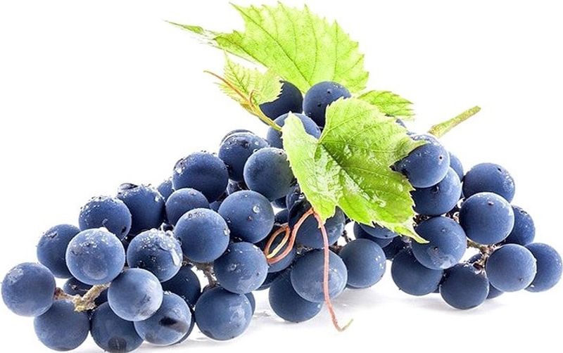 black muscat grape 0.5kg(+ -) (+/-)/jard  (#122812)