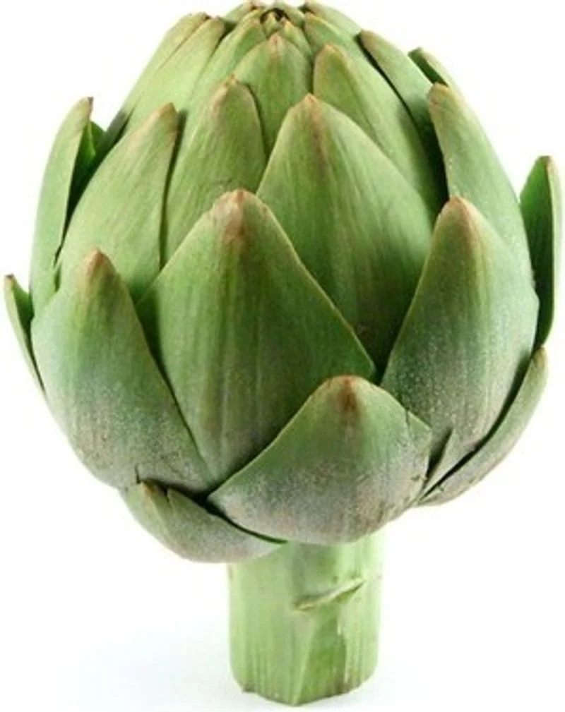 castel artichoke 1pc- 0.5 kg(+ -) (+/-)/jard (#122818)