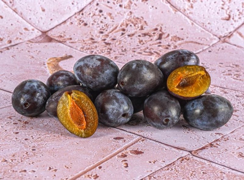 plum blue quetsche 0.5kg(+ -) (+/-)/jard (#122820)