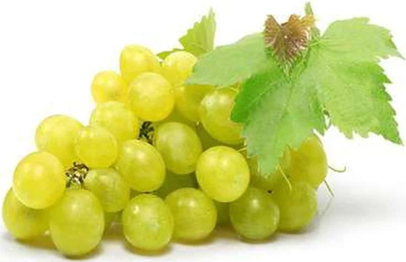 white seedless grapes 0.5kg(+ -) (+/-)/jard  (#122826)