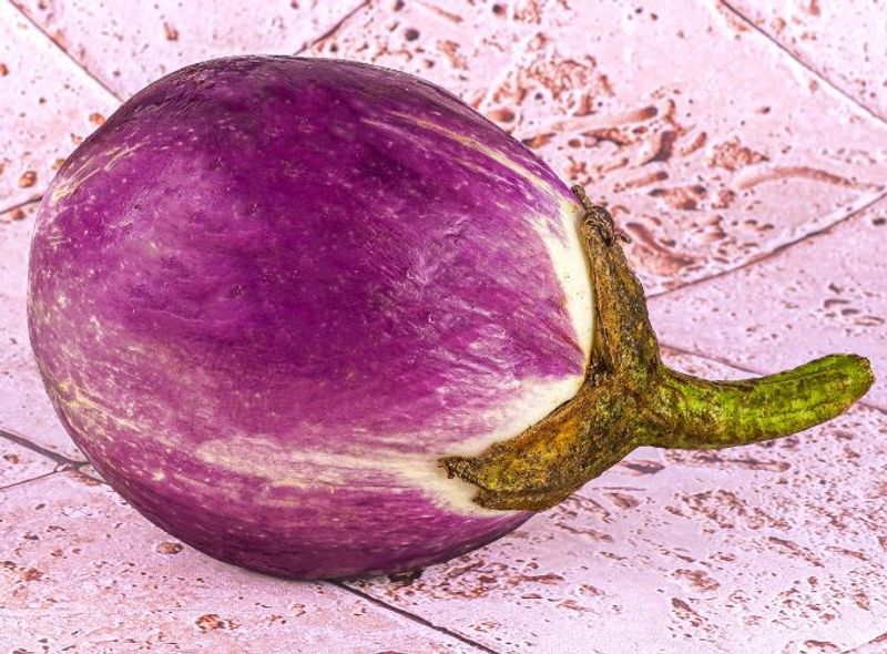 purple round eggplant 0.5kg(+ -) (+/-)/jard  (#122840)