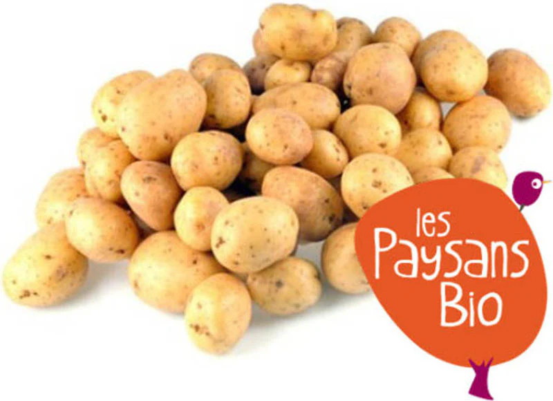 org small pot spunta 1kg(+ -) (+/-)/pay.b. (#123634)