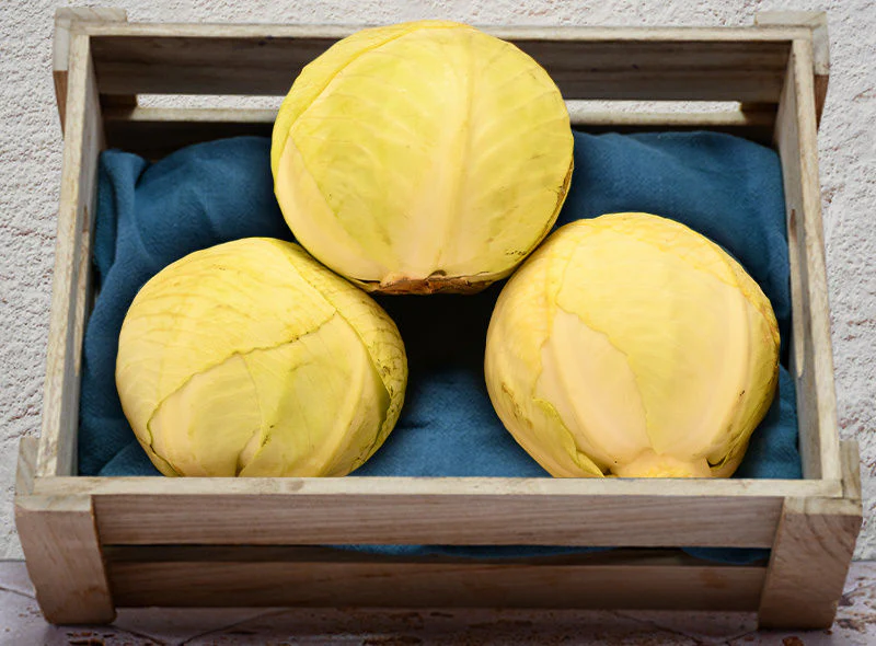 org green cabbage 1pc (#123646)
