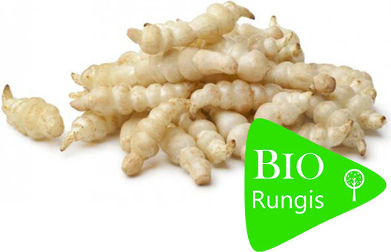 org chinese artichoke 0.25kg(+ -) (+/-)/pay.b.  (#123661)