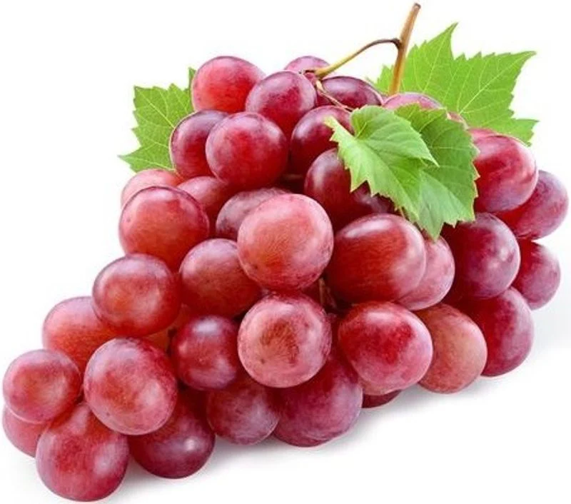 org red globe grape 0.5kg(+ -) (+/-)/pay.b. (#123716)