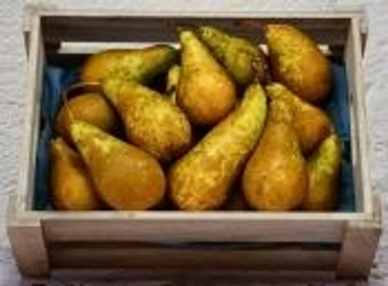 org conference pear 0.5kg(+ -) (+/-)/pay.b.  (#123723)