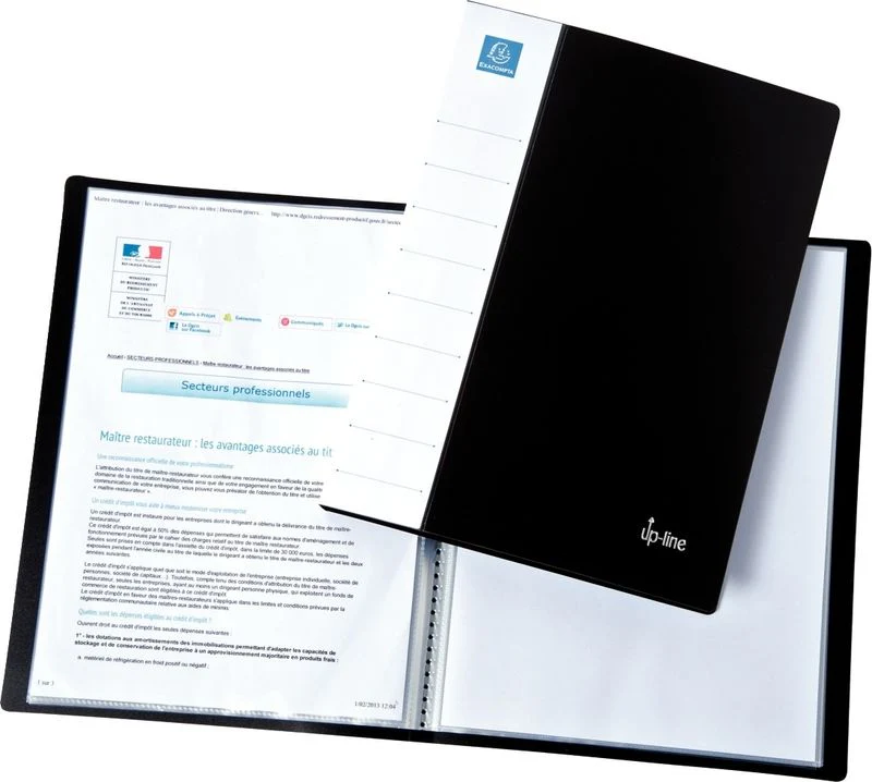 black clear book a4 40 pockets (#126347)