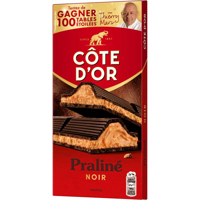 DARK CHOCOLATE PRALINE (#128413)